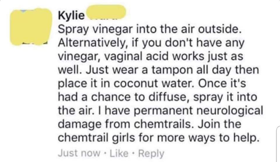 document - Kylie Spray vinegar into the air outside. Alternatively, if you don't have any vinegar, vaginal acid works just as well. Just wear a tampon all day then place it in coconut water. Once it's had a chance to diffuse, spray it into the air. I have