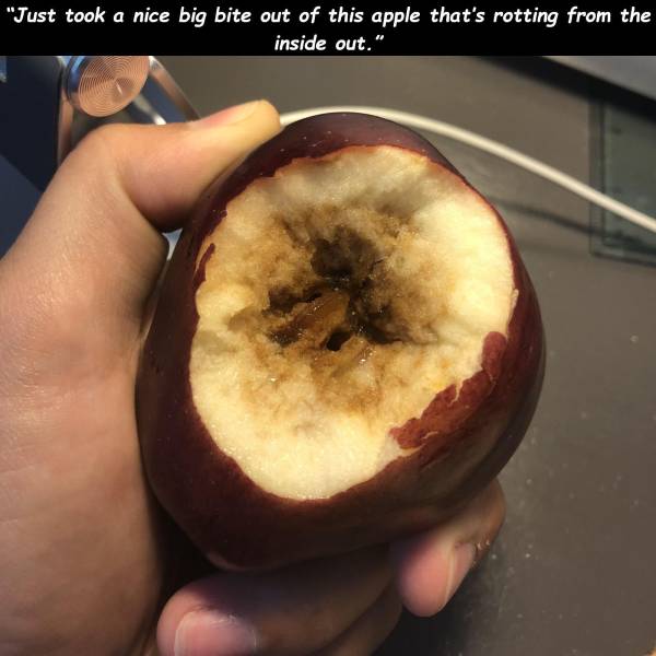 apple - "Just took a nice big bite out of this apple that's rotting from the inside out."