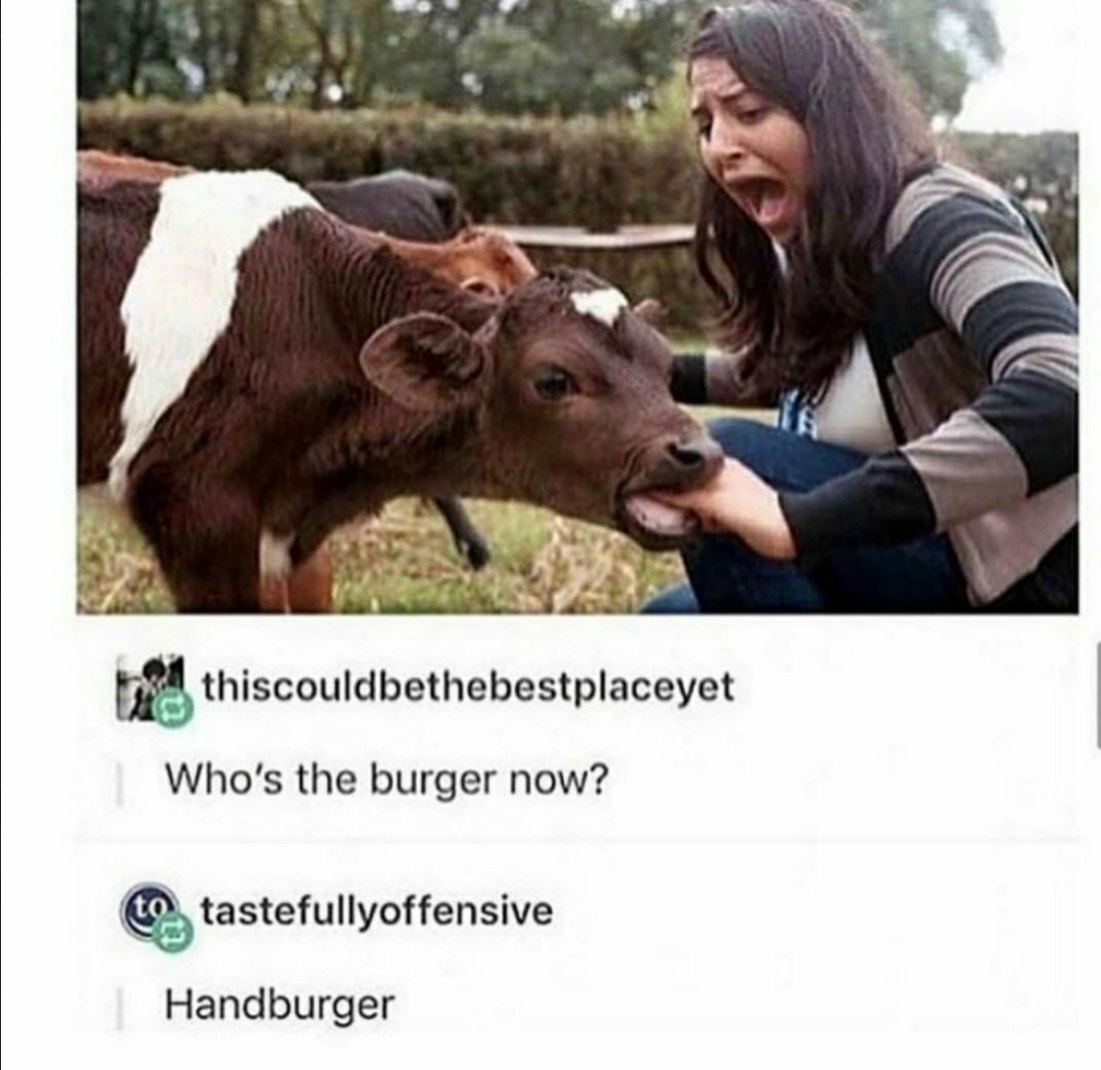 hand burger meme - thiscouldbethebestplaceyet Who's the burger now? to tastefullyoffensive Handburger