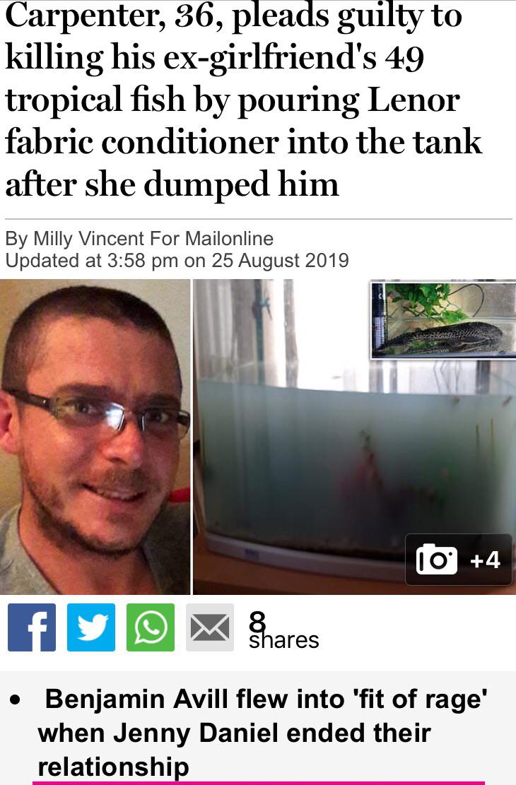 media - Carpenter, 36, pleads guilty to killing his exgirlfriend's 49 tropical fish by pouring Lenor fabric conditioner into the tank after she dumped him By Milly Vincent For Mailonline Updated at on 10 4 fuo Benjamin Avill flew into 'fit of rage' when J
