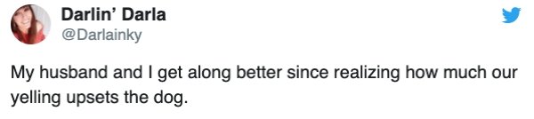Arda Turan - Darlin' Darla My husband and I get along better since realizing how much our yelling upsets the dog.