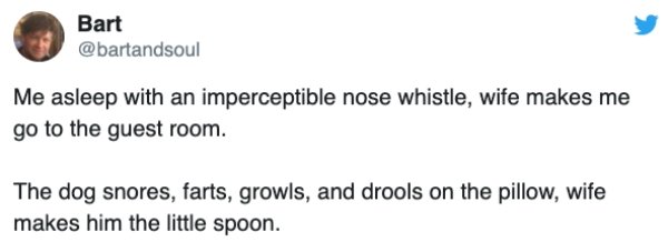 document - Bart Me asleep with an imperceptible nose whistle, wife makes me go to the guest room. The dog snores, farts, growls, and drools on the pillow, wife makes him the little spoon.