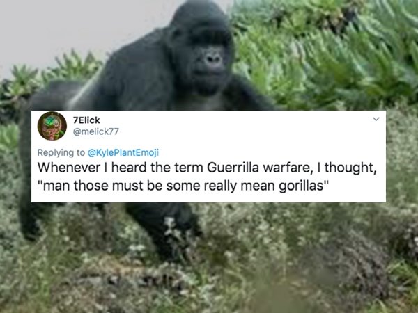 western gorilla - 7 Elick Whenever I heard the term Guerrilla warfare, I thought, "man those must be some really mean gorillas"