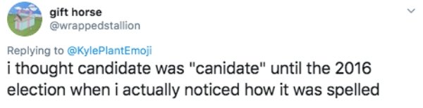 dark artifices funny - gift horse i thought candidate was "canidate" until the 2016 election when i actually noticed how it was spelled