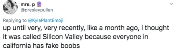 diary of a wimpy kid twitter accounts - mrs.p up until very, very recently, a month ago, i thought it was called Silicon Valley because everyone in california has fake boobs