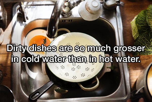 20 Shower thoughts to kick around in your head.