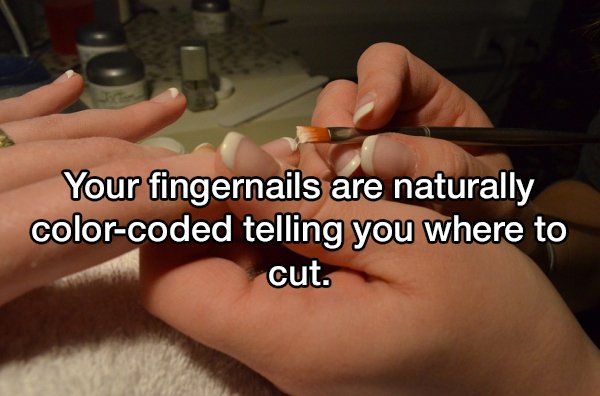 20 Shower thoughts to kick around in your head.