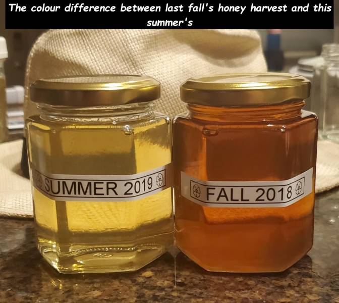 Honey - The colour difference between last fall's honey harvest and this summer's Summer 2019 | Fall 2018