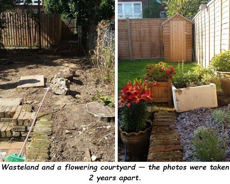 yard - Cas Bsp Wasteland and a flowering courtyard the photos were taken 2 years apart.