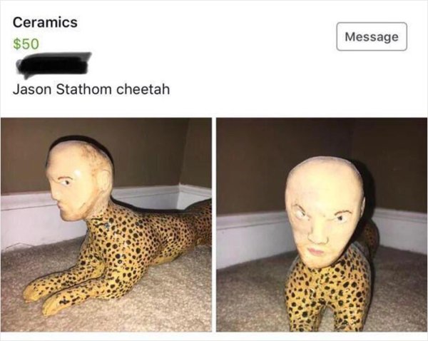 wtf online shopping twenty one pilots memes - Ceramics $50 Message Jason Stathom cheetah