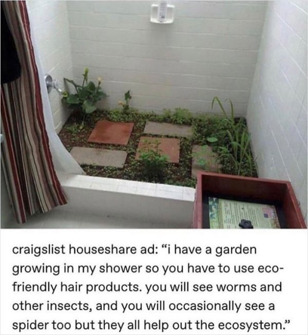 wtf online shopping indoor shower garden - craigslist house ad "i have a garden growing in my shower so you have to use eco friendly hair products. you will see worms and other insects, and you will occasionally see a spider too but they all help out the 