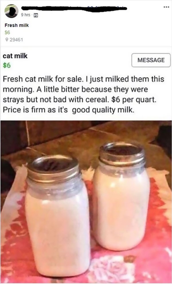 wtf online shopping fresh cat milk for sale - 9 hrs. Fresh milk S6 929461 cat milk Message $6 Fresh cat milk for sale. I just milked them this morning. A little bitter because they were strays but not bad with cereal. $6 per quart. Price is firm as it's g