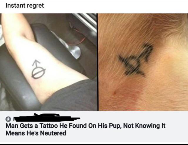 guy gets same tattoo as dog - Instant regret Man Gets a Tattoo He Found On His Pup, Not Knowing It Means He's Neutered