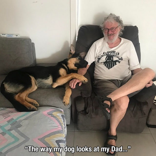 dog - Duranes "The way my dog looks at my Dad."