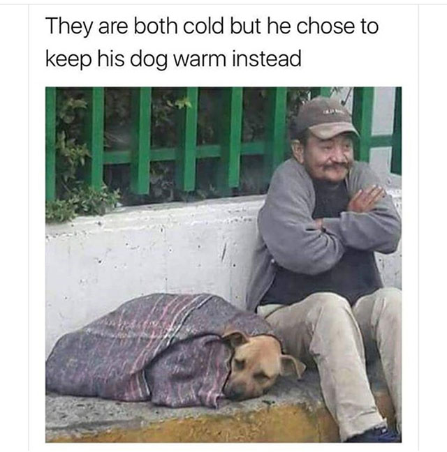 one molecule of serotonin - They are both cold but he chose to keep his dog warm instead