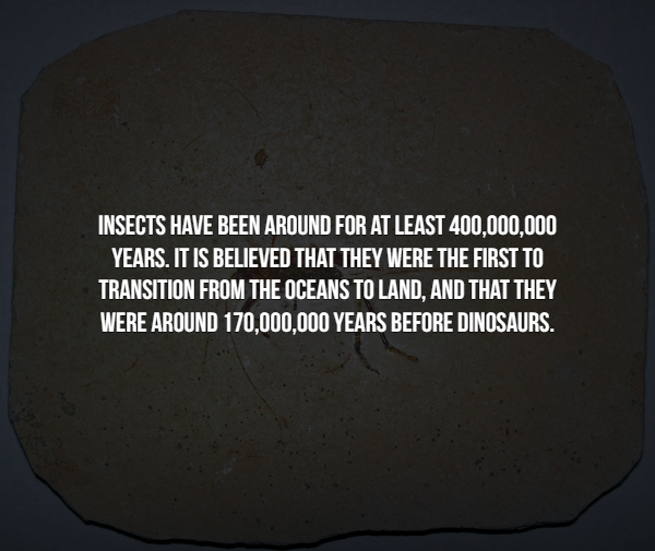 15 Creepy facts about insects.