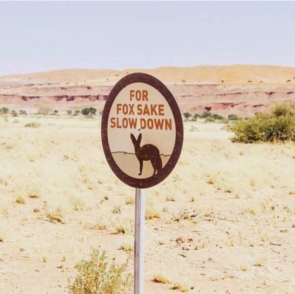 desert puns - For Fox Sake Slow Down