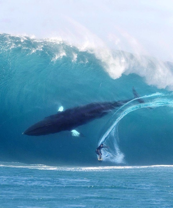 riding a huge wave