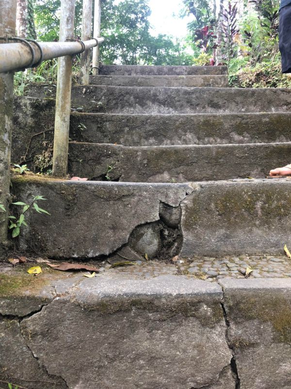 “This crack on the stairs looks like a cat”