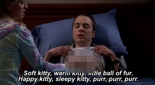 big bang theory soft kitty gif - Soft kitty, warum nilly, itle ball of fur. Happy kitty, sleepy kitty, purr, purr, purr.