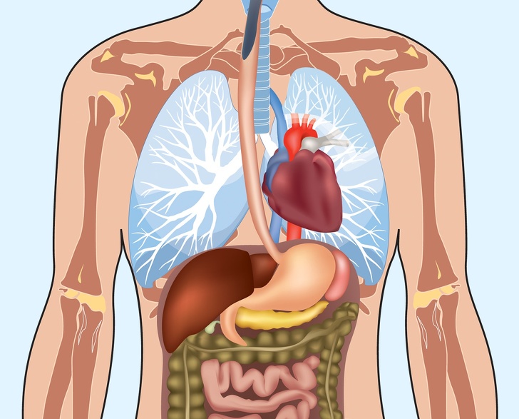 function of enzymes in the body