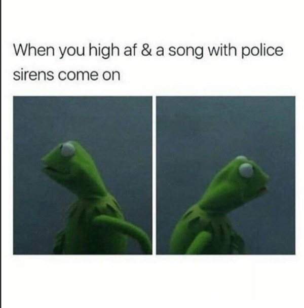 wish a bitch would memes - When you high af & a song with police sirens come on