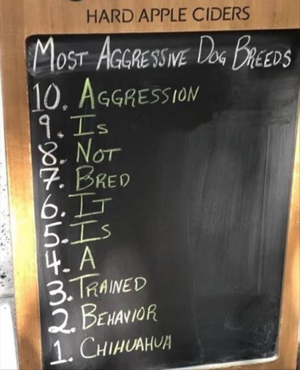 blackboard - Hard Apple Ciders Most AGGRESSive Dog Breeds 10. Aggression 19. Is 8. Not 7. Bred 6. It 5. Is 4. 3. Trained 2. Behavior 1. Chihuahua