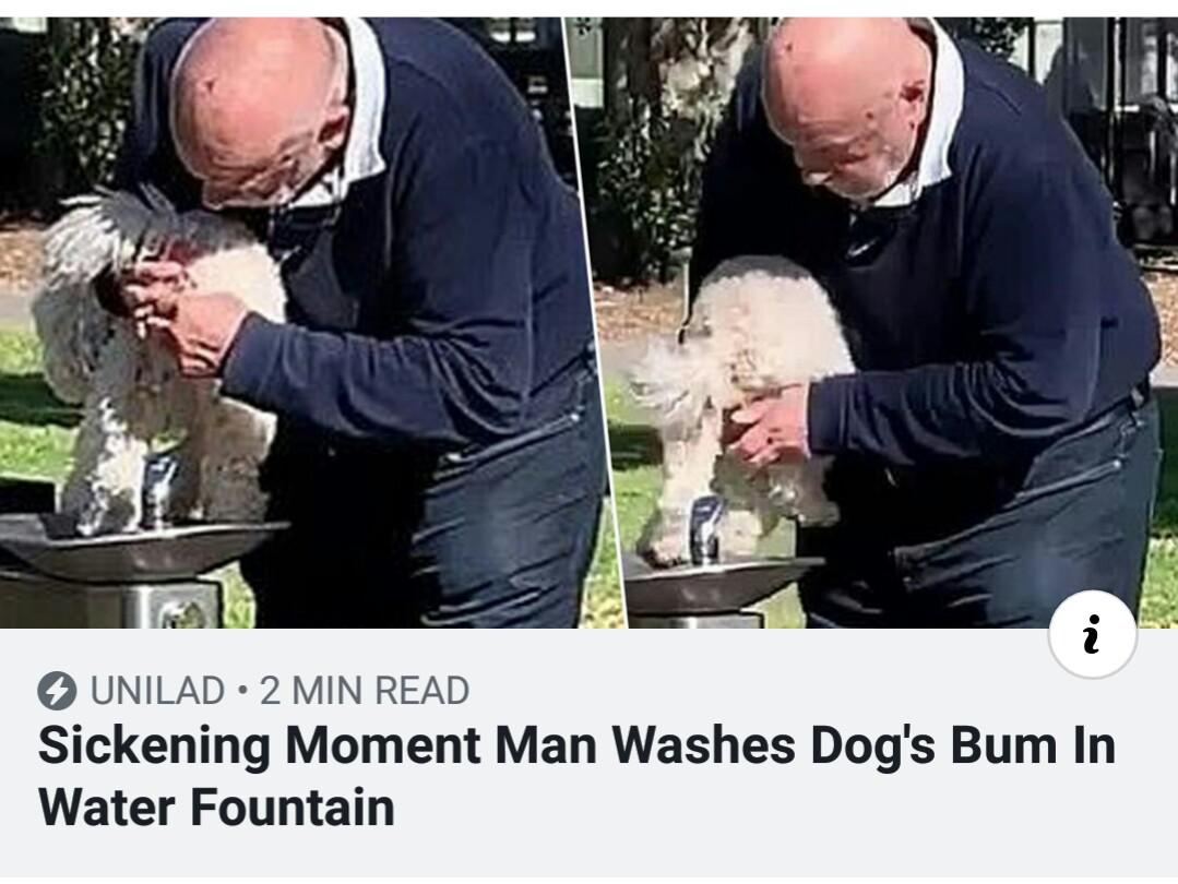 water - Unilad 2 Min Read Sickening Moment Man Washes Dog's Bum In Water Fountain