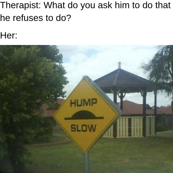 Humour - Therapist What do you ask him to do that he refuses to do? Her Hump Slow Slow Mete