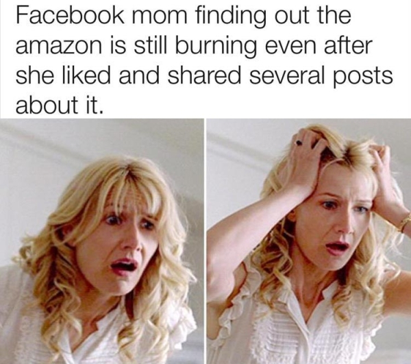 and - Facebook mom finding out the amazon is still burning even after she d and d several posts about it.
