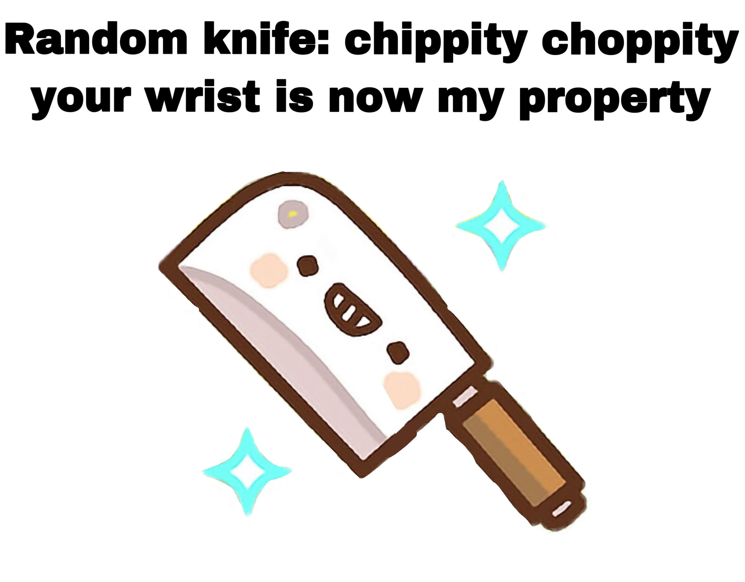 Random knife chippity choppity your wrist is now my property
