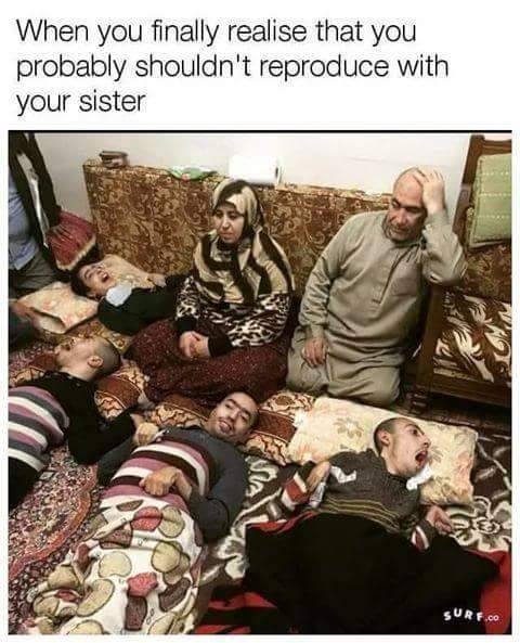 you finally realize you shouldn t reproduce - When you finally realise that you probably shouldn't reproduce with your sister