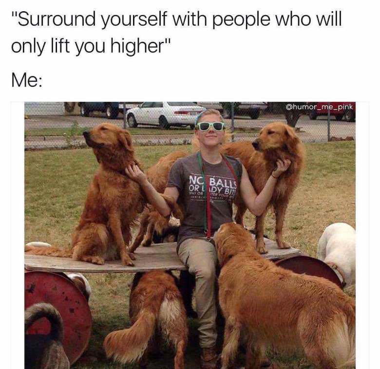 surrounded by dogs meme - "Surround yourself with people who will only lift you higher" Me Net Babu
