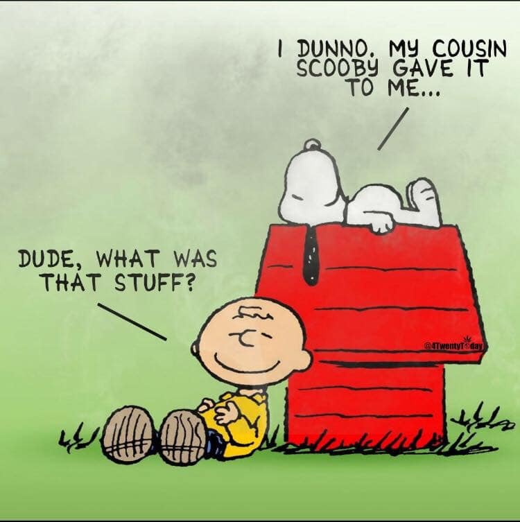charlie brown smoking weed - | Dunno. My Cousin Scooby Gave It To Me... Dude, What Was That Stuff? 14T wenty day