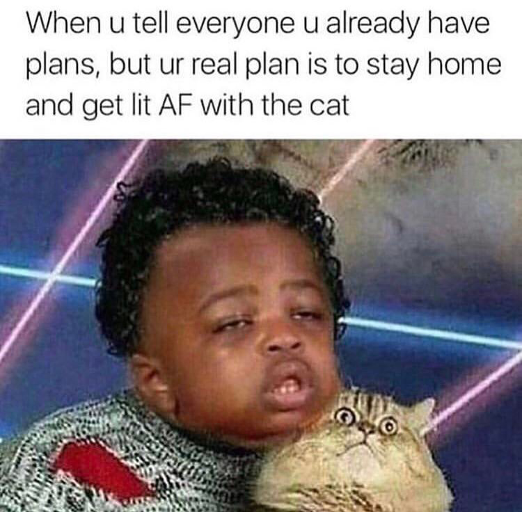after night shift meme - When u tell everyone u already have plans, but ur real plan is to stay home and get lit Af with the cat