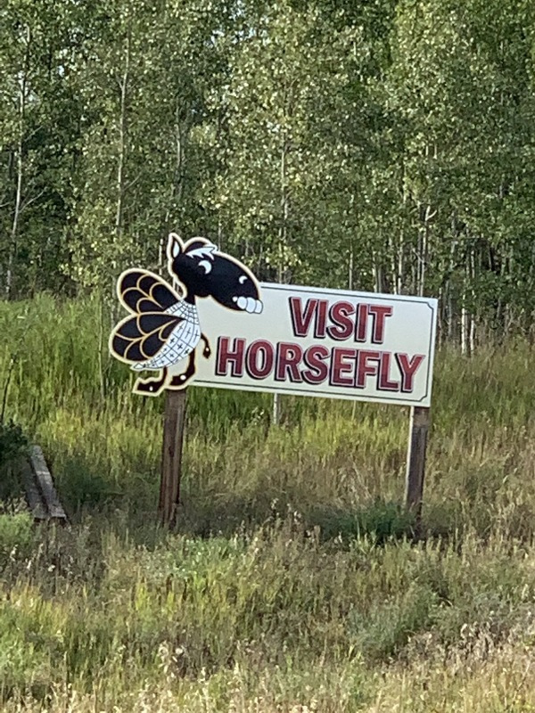 cursed image nature reserve - Visit Horsefly