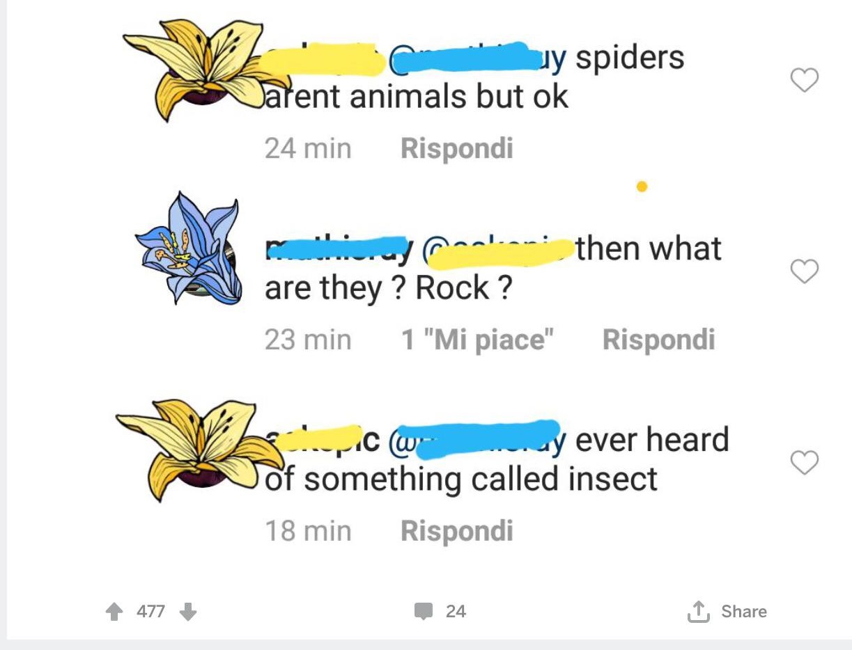 diagram - uy spiders Jarent animals but ok 24 min Rispondi m y roabaw then what are they ? Rock ? 23 min 1 "Mi piace" Rispondi fpic w ay ever heard of something called insect 18 min Rispondi 477 24 1