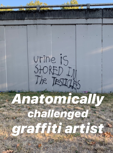 wall - Urine is Stored In The Testicules Anatomically challenged graffiti artist