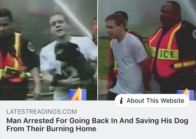 Internet meme - Ice i About This Website Latestreadings.Com Man Arrested For Going Back In And Saving His Dog From Their Burning Home