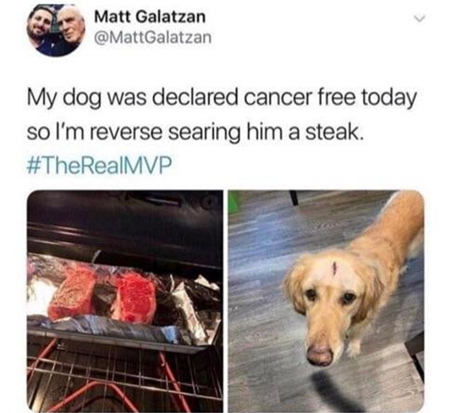 my dog got declared cancer free today so im reverse searing him a steak - Matt Galatzan My dog was declared cancer free today so I'm reverse searing him a steak.