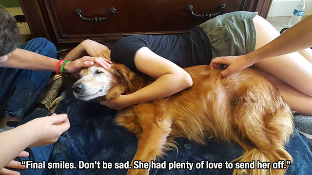 snout - "Final smiles. Don't be sad. She had plenty of love to send her off.