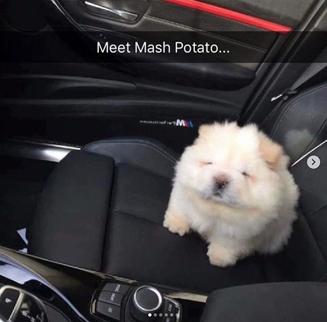 meet mash potato - Meet Mash Potato... Writim