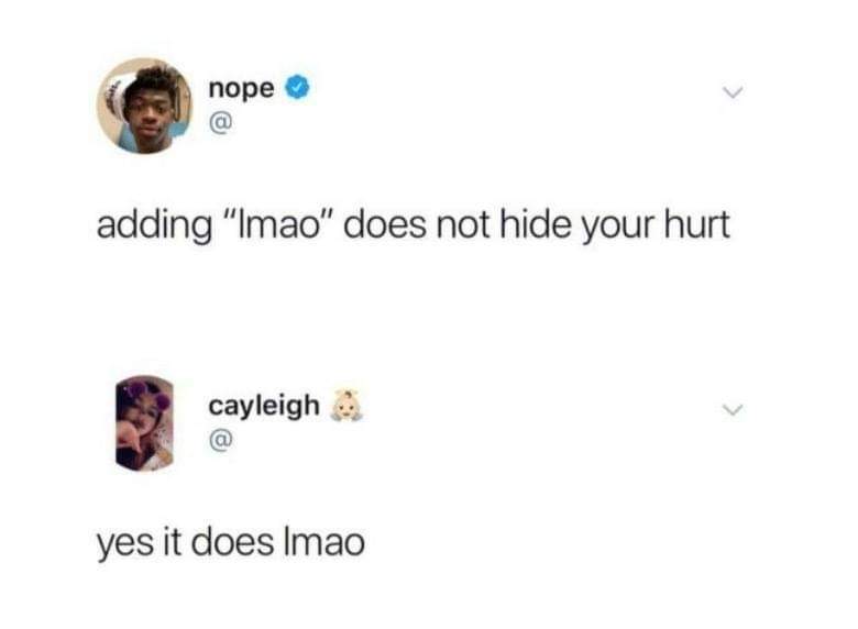 adding lmao meme - nope nope adding "Imao" does not hide your hurt cayleigh yes it does Imao