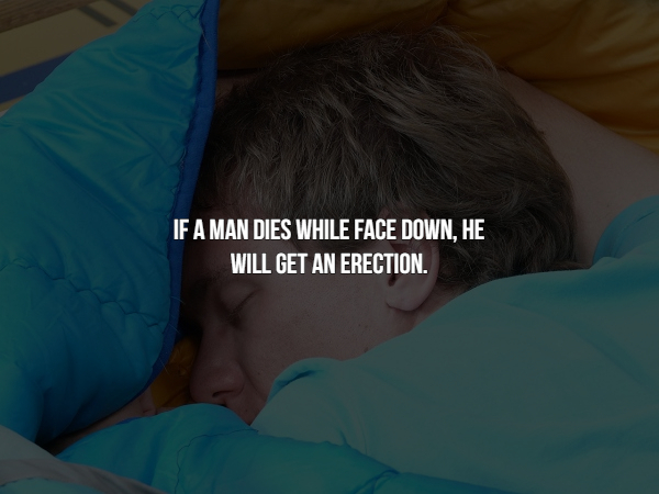 sleep - If A Man Dies While Face Down, He Will Get An Erection.