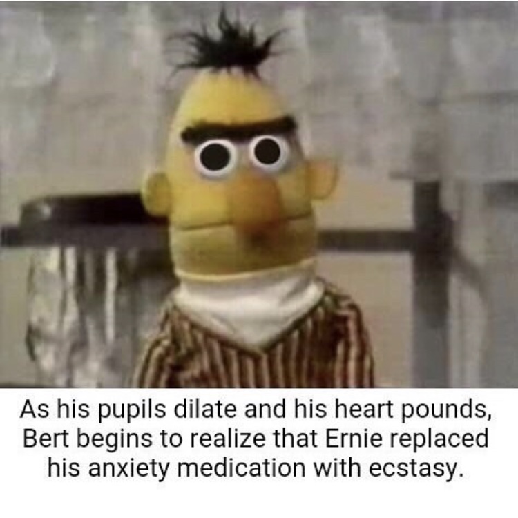 sesame street memes dark - As his pupils dilate and his heart pounds, Bert begins to realize that Ernie replaced his anxiety medication with ecstasy.