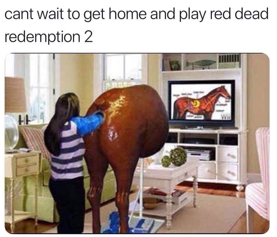 horse butt hole - cant wait to get home and play red dead redemption 2 Wa
