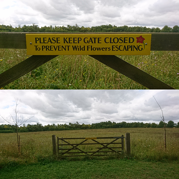 grassland - Please Keep Gate Closed To Prevent Wild Flowers Escaping