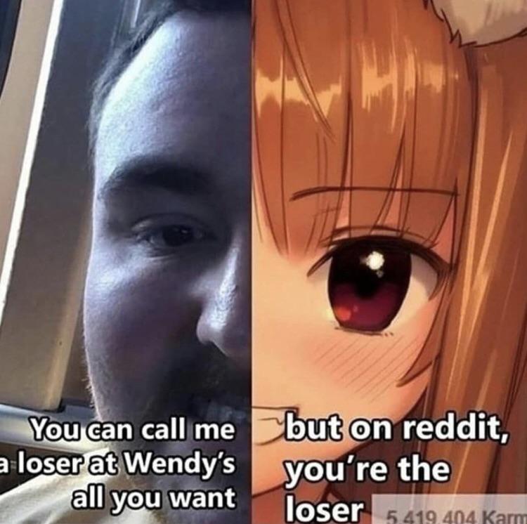 reddit but on reddit you re the loser - You can call me a loser at Wendy's all you want but on reddit, you're the loser 5419 404 Karm