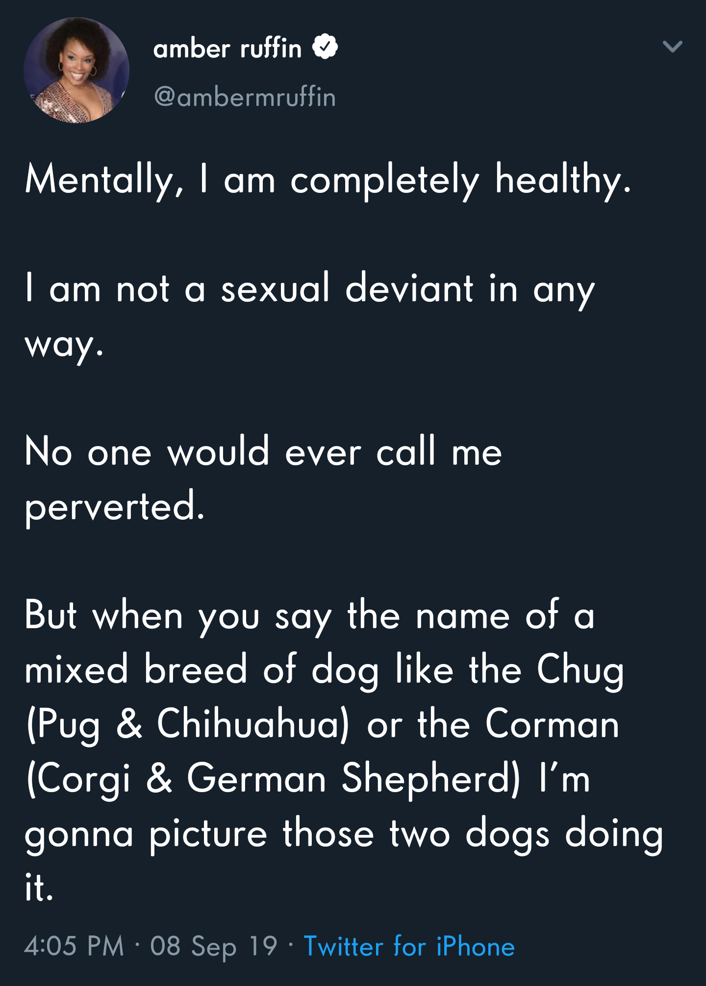 amber ruffin Mentally, I am completely healthy. I am not a sexual deviant in any way. No one would ever call me perverted. But when you say the name of a mixed breed of dog the Chug Pug & Chihuahua or the Corman Corgi & German Shepherd I'm go