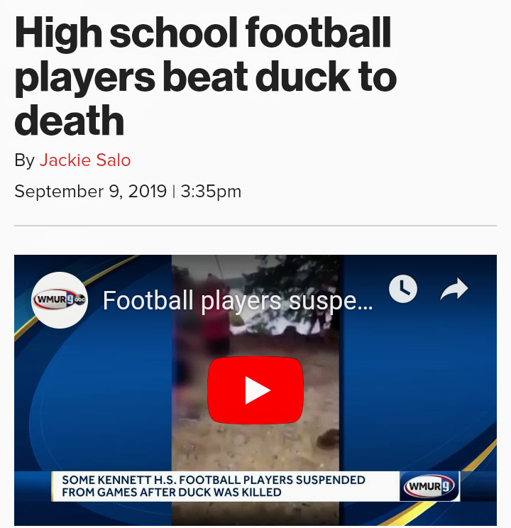 High school football players beat duck to death By Jackie Salo | pm Wmur 9.Cc umumba_ Football players suspe... O R Some Kennett H.S. Football Players Suspended From Games After Duck Was Killed Wmur 9